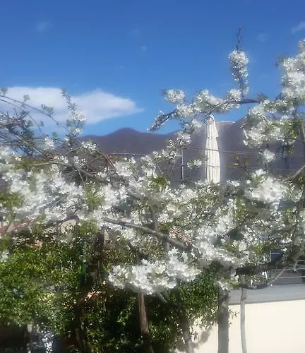 Bellavita Fossati * Carate Urio